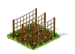 Peas Seed