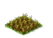 Alfalfa Withered