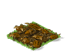 Watermelon Withered