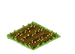 Alfalfa Seed
