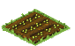 Brussel Sprouts Seed