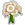 White Flower 2-icon