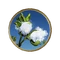 Хлопок Civ5