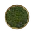 Лес