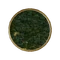Джунгли (Civ5)