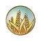 Пшеница