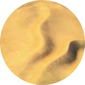 Desert