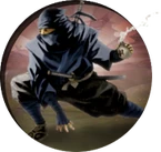 Ninja Icon