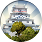 Kuruwa Icon