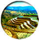 NepalRiceTerrace