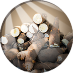 IconPNG ManiocPit