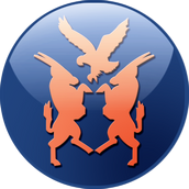 IconPNG Namibia.png