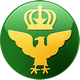 JFD CAE Icon