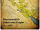 Babylon (Hammurabi)
