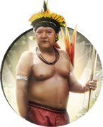 Davik
