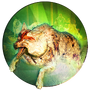IconJudge
