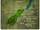 The Maori (Te Rauparaha)