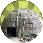 Icon wetu