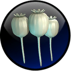 Opium Kokang