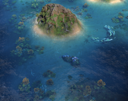 Reef in-game
