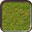 Grassland (Civ4Col)