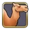Camels