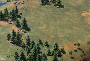 Grassland in-game