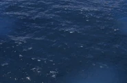 Ocean in-game