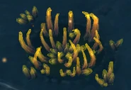 Aquatic Firaxite