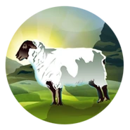 Sheep (Civ5).png (40 kB)