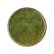 Grasland