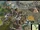 Civ5Screen0027.jpg