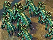 Wolfbeetle7 (CivBE).jpg (17 KB)