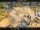 Dust Storm (Civ6).png