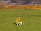 Cottage (Civ4)