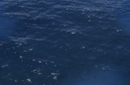 Open Ocean in-game