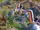 Campus in-game (Civ6).png