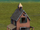 Stable (Civ4Col).png