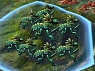 Wolfbeetle1 (CivBE).jpg (12 KB)