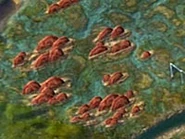 Fungus1 (CivBE).jpg (12 KB)