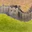 The Great Wall