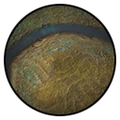 Flood Plains (CivBE)