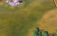 Grassland tile in-game (Civ6)