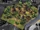 Mbanza First Look video screenshot (Civ6).jpg