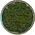 森林