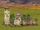 Winery (Civ4)
