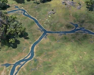 Branching River