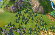 Forest on grassland tile in-game (Civ6)
