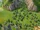Forest on grassland tile in-game (Civ6).png