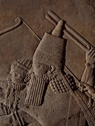 Relief of Ashurbanipal hunting lions by chariot